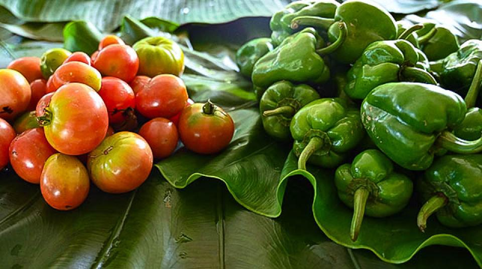 Fresh tomatoes and capsicums neatly arranged over banana leaves