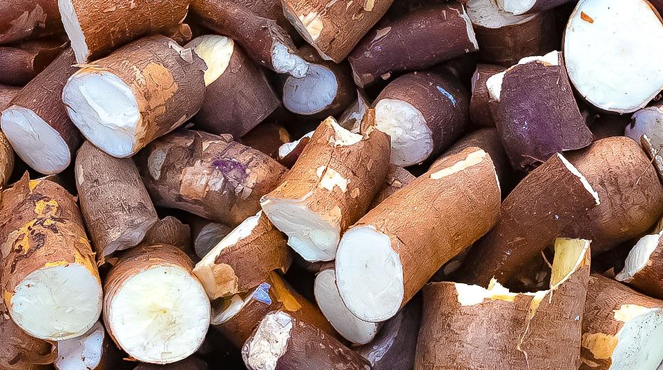 a close-up of pieces of cassava in Vietnam