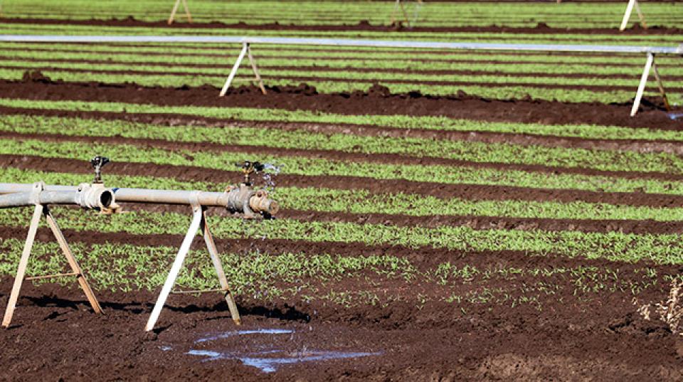 irrigation system on a field