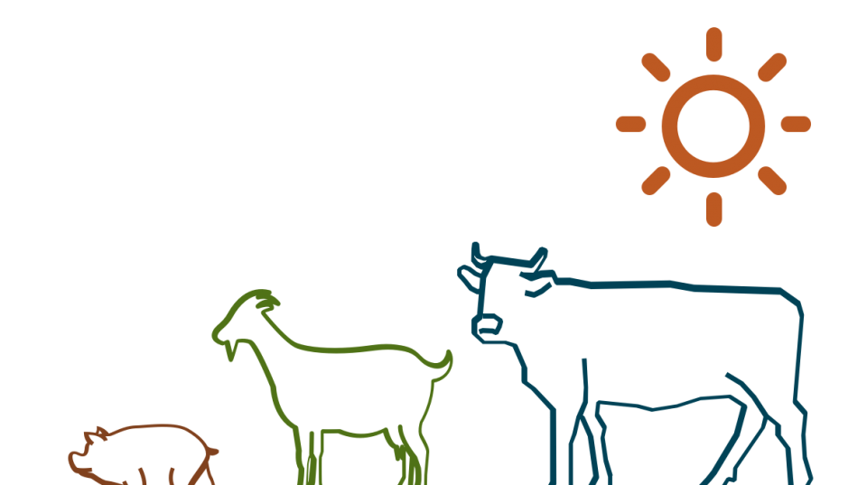 Improving livelihoods of small-scale livestock producers in the central dry zone through research on animal production and health in Myanmar | ACIAR Improving livelihoods of small-scale livestock producers in the central dry zone through research on animal production and health in Myanmar | ACIAR