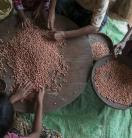 sorting pulses