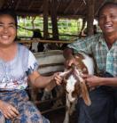 Goat farmers in Myanmar 