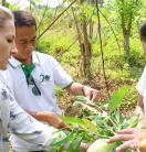 a group of researchers inspecting plants