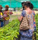 a group of women farmers observing plant plot, underneath a green tarp