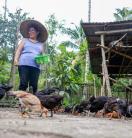 Herminia Moreno feeds their chicken at their farm in the village of Assumption, Koronadal City, Province of South Cotabato, Mindanao, the Philippines.