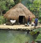 In-land fish pond in PNG 