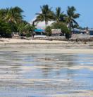 a wide shot of a beach with houses and coconut trees in the distance by the shore