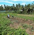 People in Eastern Highlands PNG 