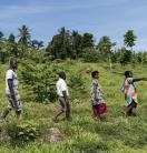 eople walking in a line through a lush green field with tropical trees, as one person points ahead.