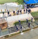  People inspect a fish passage structure beside a canal.
