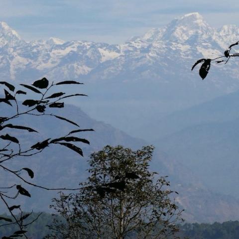 A picture of the himalayas