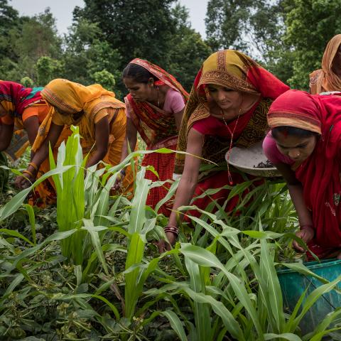 Group of women farming in Nepal