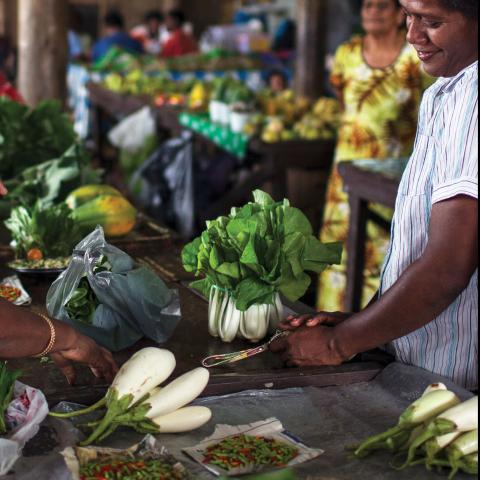 Market in the Pacific Islands