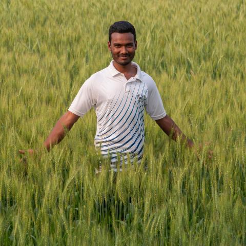 Man standing in a field of long grassy crops