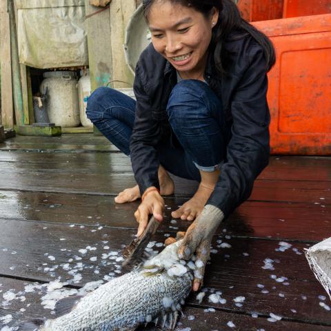 Woman with bare feet de-scaling a fish on the ground