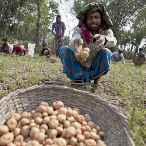 Farmer in Bangladesh 