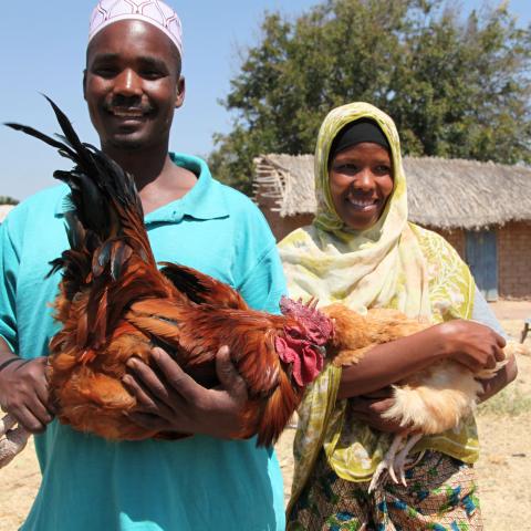 Man and a woman holding a rooster and chicken