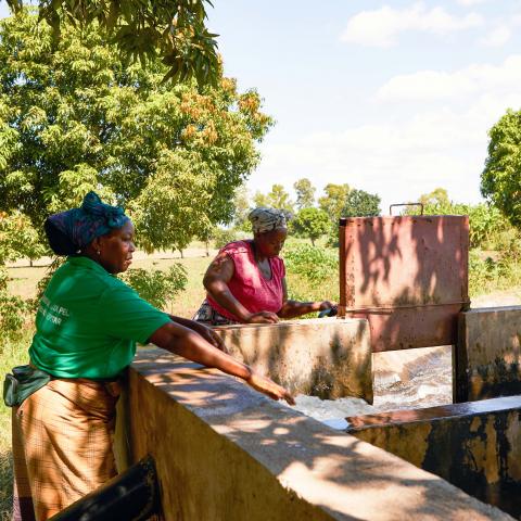 irrigation mozambique