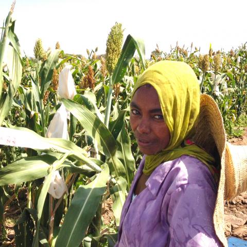 farmer in ethiopia 