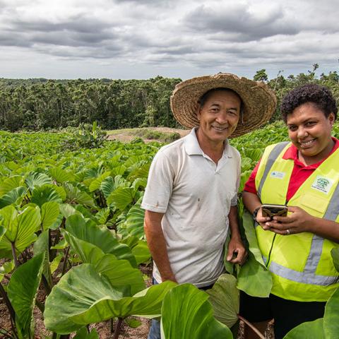 Two people standing in front of a crop of large green leaves
