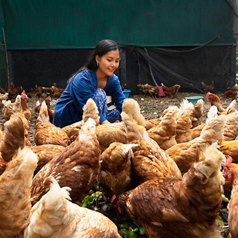 female farmer with chickens 