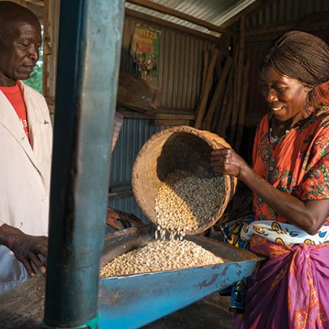 A man and woman pouring grain