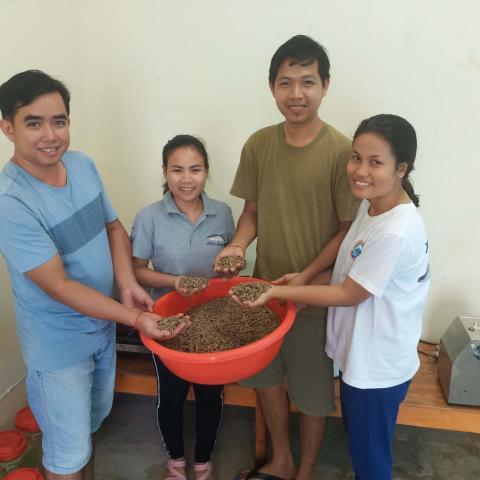 After returning to Cambodia following training in Indonesia, the participants have been able to make their own experimental feeds for finfish.
