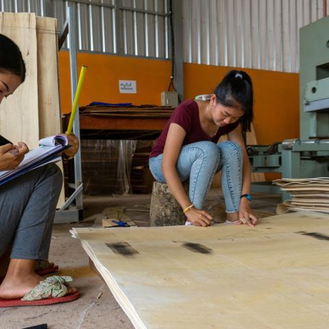 Lao wood processing plant