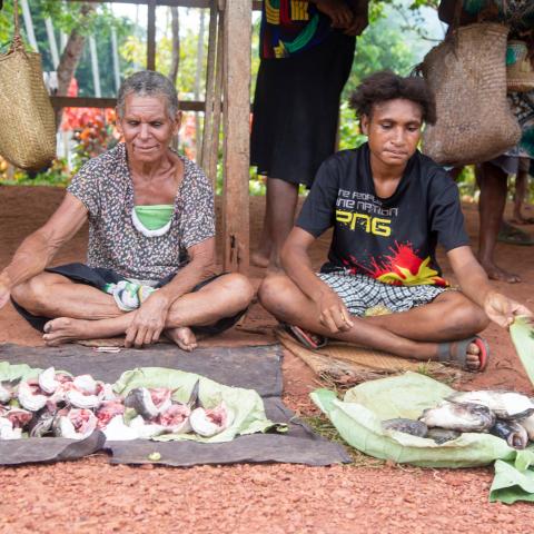 Women from Kaviananga village, along the Fly River in Western Province sell fish at a local market. Market access is a major challenge for communities living along the Fly River.