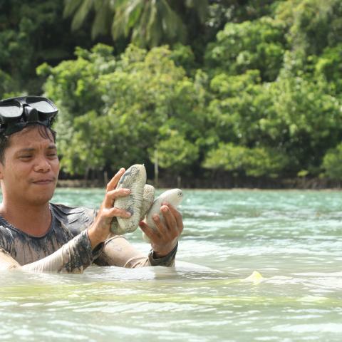 Roberto Gonzales Jr, a sandfish ranch co-manager in Buyayawon, Mercedes, Eastern Samar, inspects a sandfish.