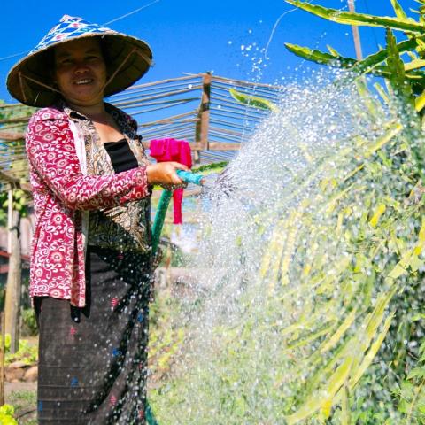 A farmer waters her garden in Ekxang Village, Lao PDR.