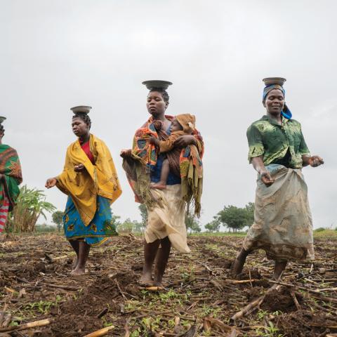 Smallholder farmers in Mozambique participating in the ACIAR-funded SIMLESA program, which helped more than 480,000 farmers across eastern and Southern Africa increase food production and boost farmer livelihoods.  
