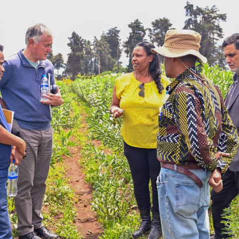 Dr Asnakech Telalign discusses the spread of FBG, the efforts made through the project to curb its spread for better yields, and the ongoing research aimed at developing resistant varieties using molecular tools to support conventional breeding.