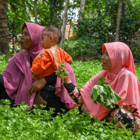 Women and child in a green field