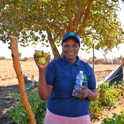 Woman holding tomatoes