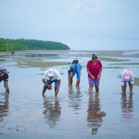 People standing in ankle-deep water