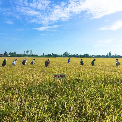 A line of people in a field
