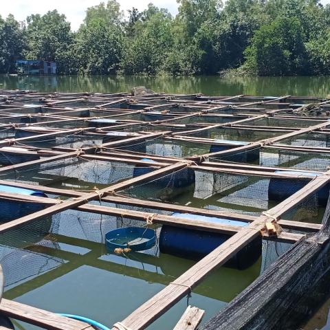 Aquaculture ponds