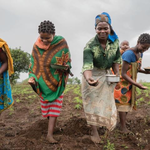 A group of women working in a field