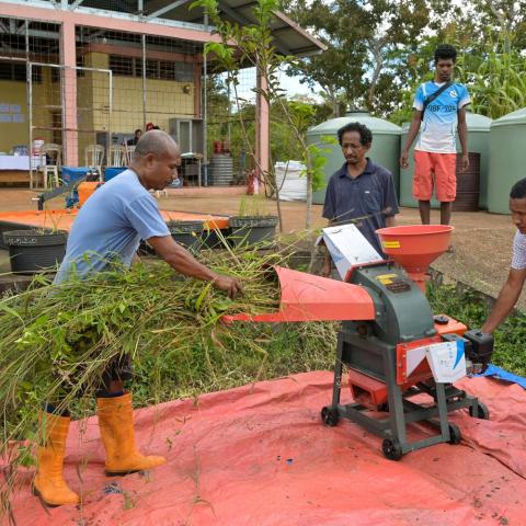 Farmer feeds cut grass into a small chopper machine while others observe beside water tanks and a rural building