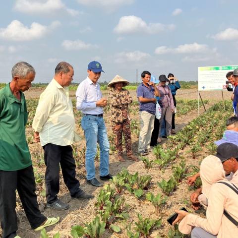 Group of farmers and researchers inspecting vegetable crops during a field training session.