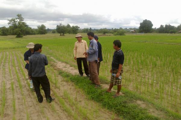 A group of farmers evaluating the emergence of direct seeded rice in Phin Neua at the beginning of wet season. Photo: Christian Roth (CSIRO)