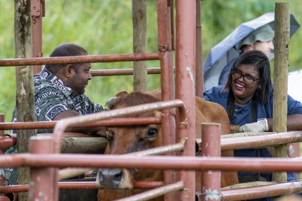 man and woman with cow