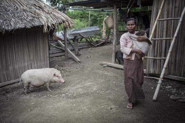 woman holding child beside pig