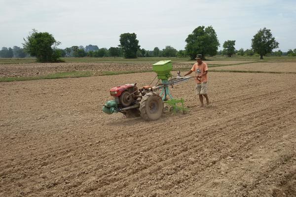 man sowing seeds