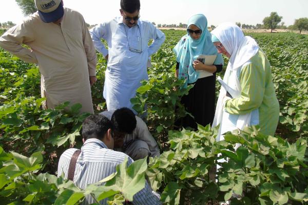 group of people looking at plants