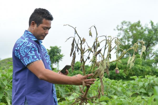 man looking at dead plant