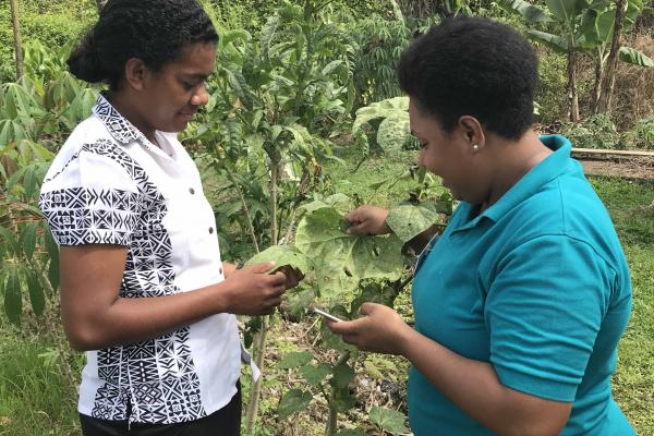 two women looking inspecting leaves