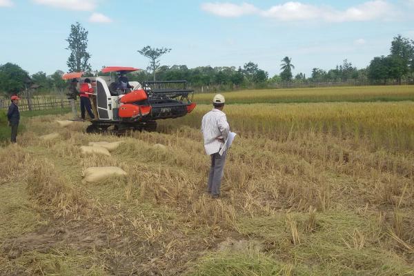 Research on the use of machines during planting and harvesting found that the use of mechanical harvesters save farmers both time and money.