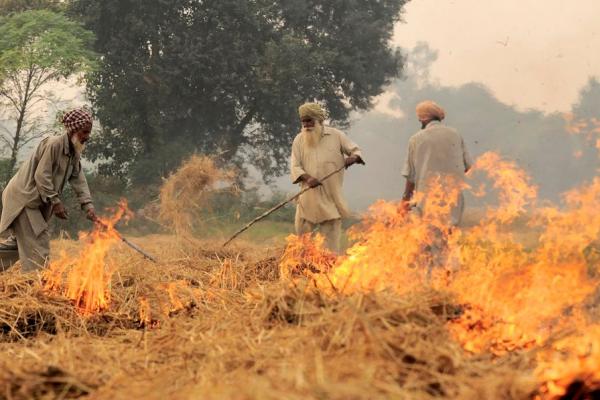 Burning of rice residues in SE Punjab, India, prior to the wheat season. Image: Neil Palmer (CIAT). CC BY-SA 2.0